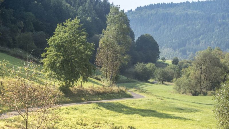 Ausblick auf dem Radweg Perlen der Jossa