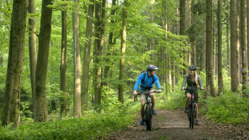 Gemütliches mountainbiken im Spessart-Wald